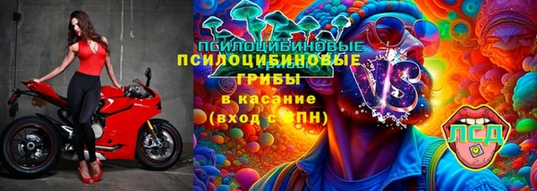 spice Балахна