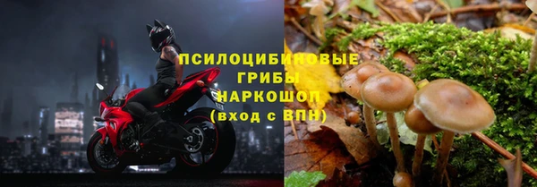 spice Балахна