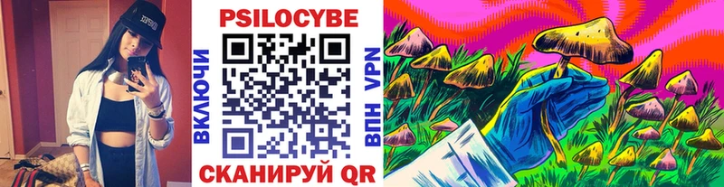 Псилоцибиновые грибы MAGIC MUSHROOMS  Купить закладки  Гаврилов-Ям 
